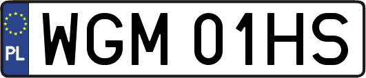 WGM01HS