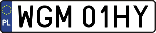 WGM01HY
