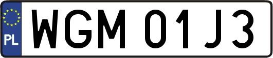 WGM01J3