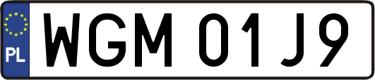 WGM01J9