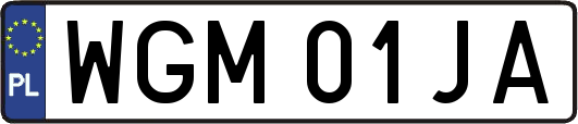 WGM01JA