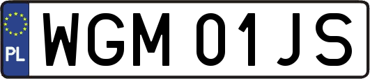 WGM01JS