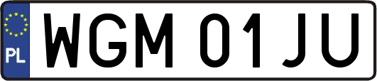 WGM01JU