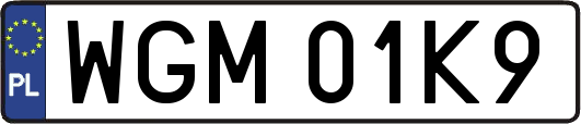 WGM01K9