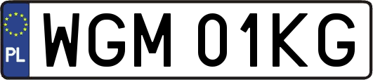 WGM01KG