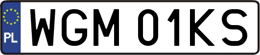 WGM01KS