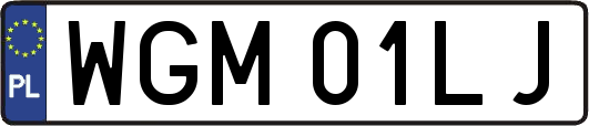 WGM01LJ