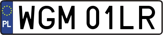 WGM01LR