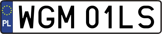 WGM01LS