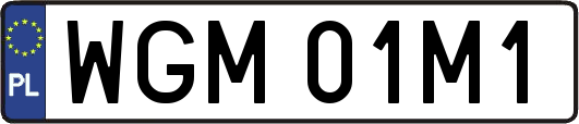 WGM01M1