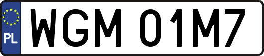 WGM01M7