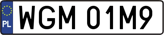 WGM01M9