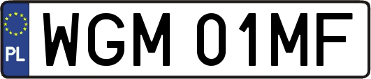 WGM01MF