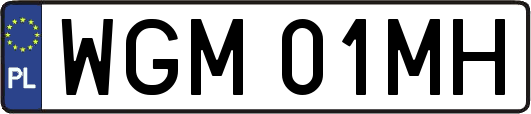 WGM01MH