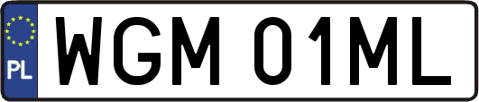 WGM01ML