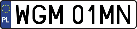 WGM01MN