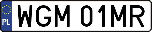 WGM01MR