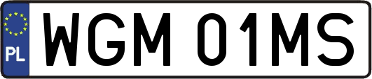 WGM01MS