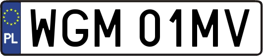 WGM01MV
