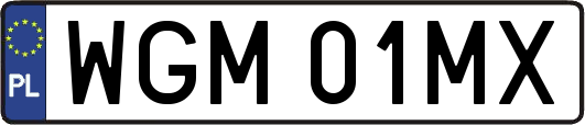 WGM01MX
