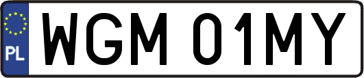 WGM01MY
