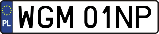 WGM01NP