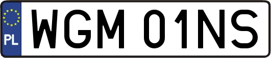 WGM01NS