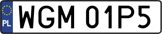 WGM01P5