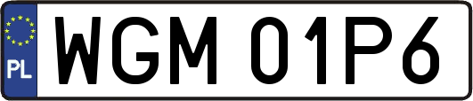 WGM01P6