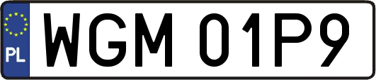 WGM01P9