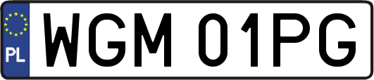 WGM01PG