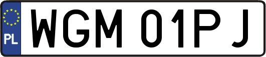 WGM01PJ