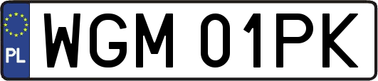 WGM01PK