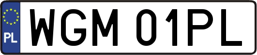 WGM01PL