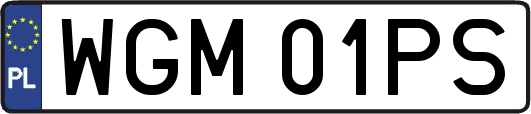 WGM01PS