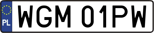 WGM01PW