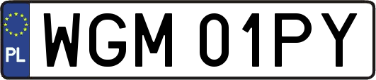 WGM01PY