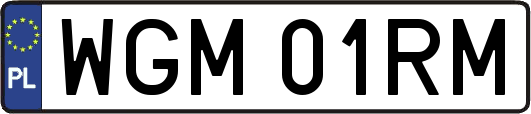 WGM01RM