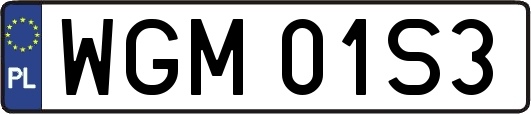 WGM01S3