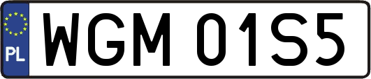 WGM01S5