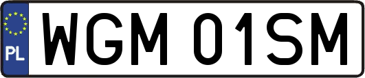 WGM01SM