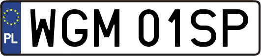 WGM01SP