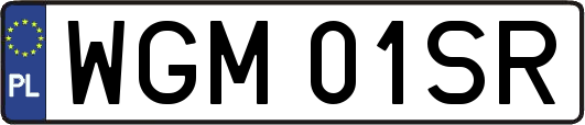 WGM01SR