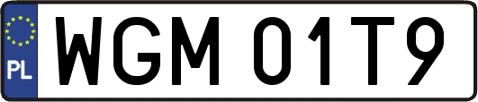 WGM01T9