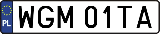 WGM01TA