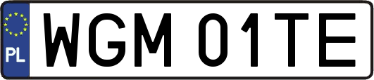 WGM01TE