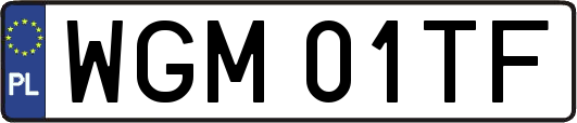 WGM01TF