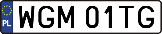 WGM01TG