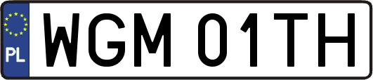 WGM01TH