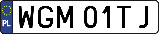 WGM01TJ